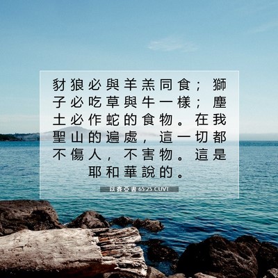 Picture 07 - 以 賽 亞 書 65:25 CUVT - 豺 狼 必 與 羊 羔 同 食 ； 獅 子 必 - Bible Verse Picture