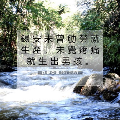 Picture 07 - 以 賽 亞 書 66:7 CUVT - 錫 安 未 曾 劬 勞 就 生 產 ， 未 覺 - Bible Verse Picture