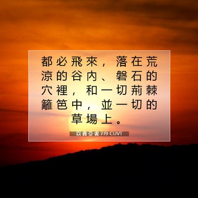 Picture 07 - 以 賽 亞 書 7:19 CUVT - 都 必 飛 來 ， 落 在 荒 涼 的 谷 內 - Bible Verse Picture