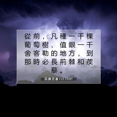 Picture 07 - 以 賽 亞 書 7:23 CUVT - 從 前 ， 凡 種 一 千 棵 葡 萄 樹 、 - Bible Verse Picture
