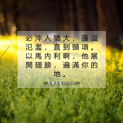 Picture 07 - 以 賽 亞 書 8:8 CUVT - 必 沖 入 猶 大 ， 漲 溢 氾 濫 ， 直 - Bible Verse Picture