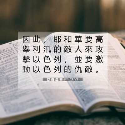 Picture 07 - 以 賽 亞 書 9:11 CUVT - 因 此 ， 耶 和 華 要 高 舉 利 汛 的 - Bible Verse Picture