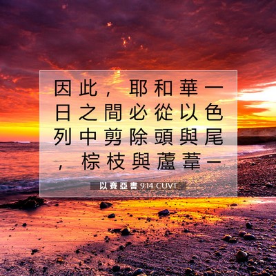 Picture 07 - 以 賽 亞 書 9:14 CUVT - 因 此 ， 耶 和 華 一 日 之 間 必 從 - Bible Verse Picture