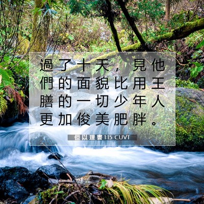 Picture 07 - 但 以 理 書 1:15 CUVT - 過 了 十 天 ， 見 他 們 的 面 貌 比 - Bible Verse Picture