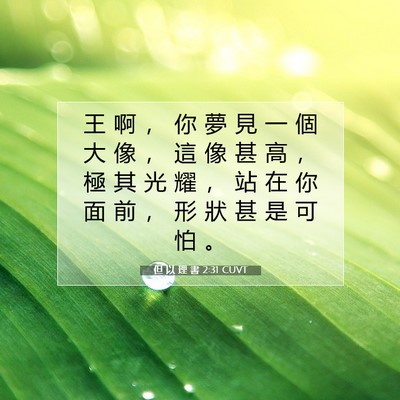 Picture 07 - 但 以 理 書 2:31 CUVT - 王 啊 ， 你 夢 見 一 個 大 像 ， 這 - Bible Verse Picture