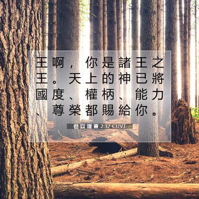 Picture 07 - 但 以 理 書 2:37 CUVT - 王 啊 ， 你 是 諸 王 之 王 。 天 上 - Bible Verse Picture