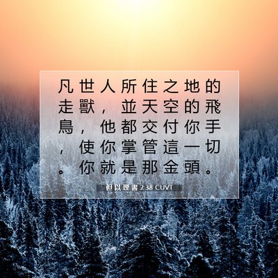 Picture 07 - 但 以 理 書 2:38 CUVT - 凡 世 人 所 住 之 地 的 走 獸 ， 並 - Bible Verse Picture
