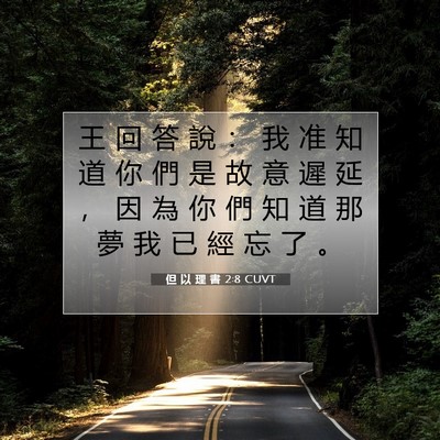 Picture 07 - 但 以 理 書 2:8 CUVT - 王 回 答 說 ： 我 准 知 道 你 們 是 - Bible Verse Picture