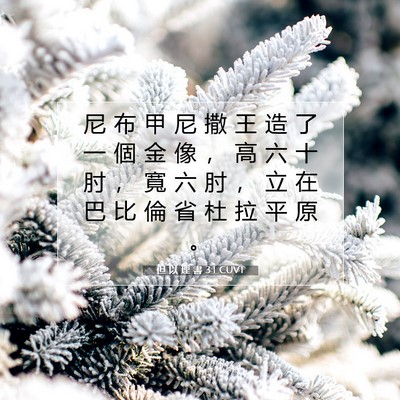 Picture 07 - 但 以 理 書 3:1 CUVT - 尼 布 甲 尼 撒 王 造 了 一 個 金 像 - Bible Verse Picture