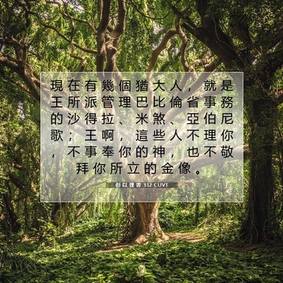Picture 07 - 但 以 理 書 3:12 CUVT - 現 在 有 幾 個 猶 大 人 ， 就 是 王 - Bible Verse Picture