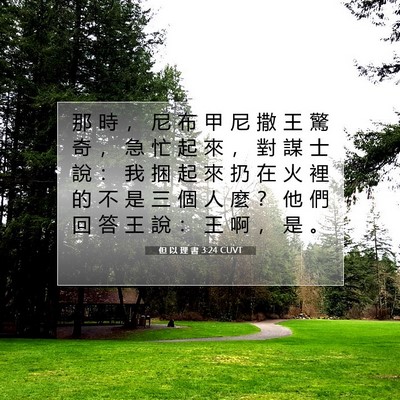 Picture 07 - 但 以 理 書 3:24 CUVT - 那 時 ， 尼 布 甲 尼 撒 王 驚 奇 ， - Bible Verse Picture
