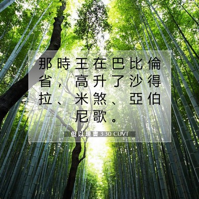 Picture 07 - 但 以 理 書 3:30 CUVT - 那 時 王 在 巴 比 倫 省 ， 高 升 了 - Bible Verse Picture