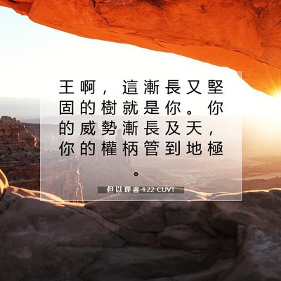 Picture 07 - 但 以 理 書 4:22 CUVT - 王 啊 ， 這 漸 長 又 堅 固 的 樹 就 - Bible Verse Picture