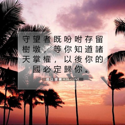 Picture 07 - 但 以 理 書 4:26 CUVT - 守 望 者 既 吩 咐 存 留 樹 墩 ， 等 - Bible Verse Picture