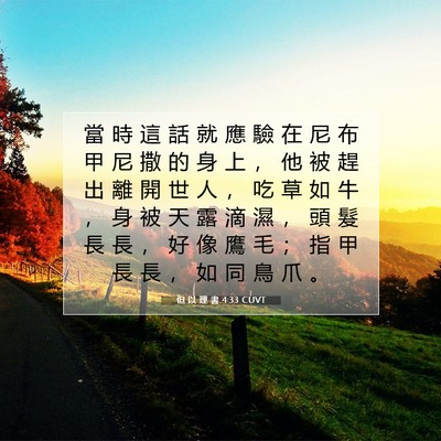 Picture 07 - 但 以 理 書 4:33 CUVT - 當 時 這 話 就 應 驗 在 尼 布 甲 尼 - Bible Verse Picture