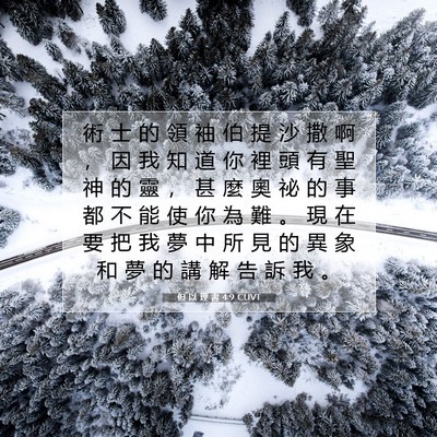 Picture 07 - 但 以 理 書 4:9 CUVT - 術 士 的 領 袖 伯 提 沙 撒 啊 ， 因 - Bible Verse Picture