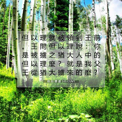 Picture 07 - 但 以 理 書 5:13 CUVT - 但 以 理 就 被 領 到 王 前 。 王 問 - Bible Verse Picture