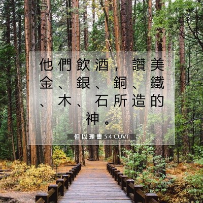 Picture 07 - 但 以 理 書 5:4 CUVT - 他 們 飲 酒 ， 讚 美 金 、 銀 、 銅 - Bible Verse Picture