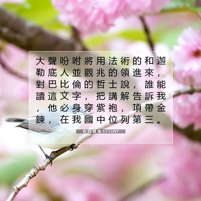 Picture 07 - 但 以 理 書 5:7 CUVT - 大 聲 吩 咐 將 用 法 術 的 和 迦 勒 - Bible Verse Picture