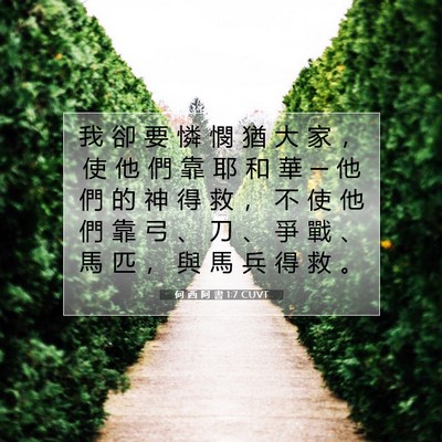 Picture 07 - 何 西 阿 書 1:7 CUVT - 我 卻 要 憐 憫 猶 大 家 ， 使 他 們 - Bible Verse Picture