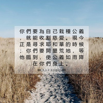 Picture 07 - 何 西 阿 書 10:12 CUVT - 你 們 要 為 自 己 栽 種 公 義 ， 就 - Bible Verse Picture
