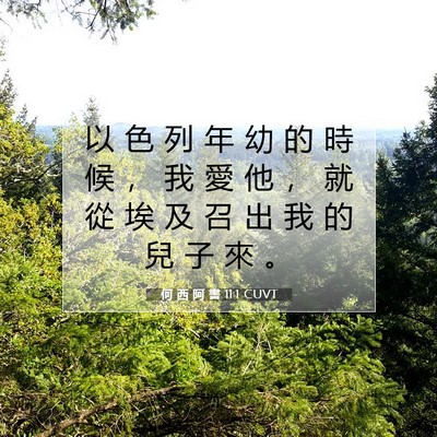 Picture 07 - 何 西 阿 書 11:1 CUVT - 以 色 列 年 幼 的 時 候 ， 我 愛 他 - Bible Verse Picture
