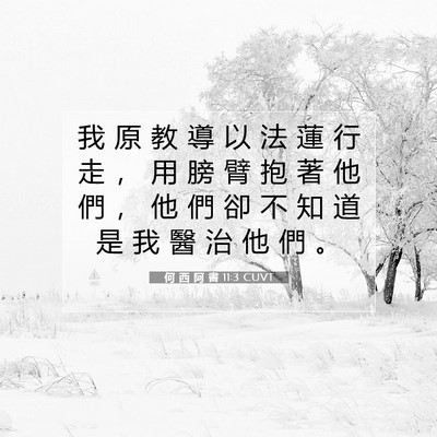 Picture 07 - 何 西 阿 書 11:3 CUVT - 我 原 教 導 以 法 蓮 行 走 ， 用 膀 - Bible Verse Picture