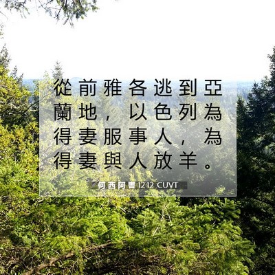 Picture 07 - 何 西 阿 書 12:12 CUVT - 從 前 雅 各 逃 到 亞 蘭 地 ， 以 色 - Bible Verse Picture
