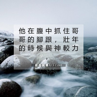 Picture 07 - 何 西 阿 書 12:3 CUVT - 他 在 腹 中 抓 住 哥 哥 的 腳 跟 ， - Bible Verse Picture