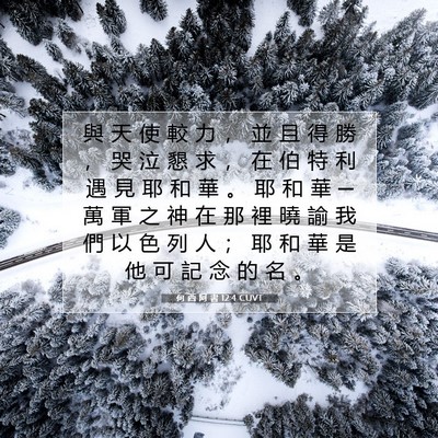 Picture 07 - 何 西 阿 書 12:4 CUVT - 與 天 使 較 力 ， 並 且 得 勝 ， 哭 - Bible Verse Picture