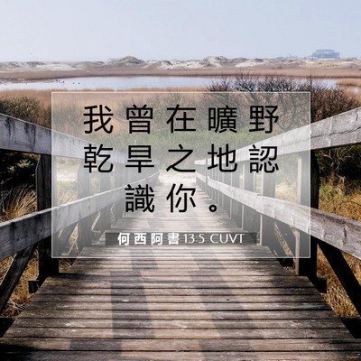 Picture 07 - 何 西 阿 書 13:5 CUVT - 我 曾 在 曠 野 乾 旱 之 地 認 識 你 - Bible Verse Picture