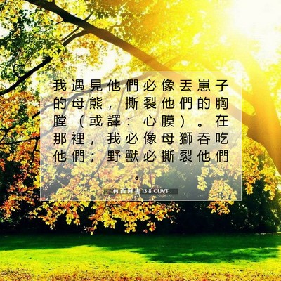 Picture 07 - 何 西 阿 書 13:8 CUVT - 我 遇 見 他 們 必 像 丟 崽 子 的 母 - Bible Verse Picture