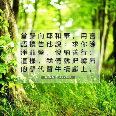 Picture 07 - 何 西 阿 書 14:2 CUVT - 當 歸 向 耶 和 華 ， 用 言 語 禱 告 - Bible Verse Picture