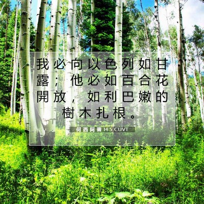 Picture 07 - 何 西 阿 書 14:5 CUVT - 我 必 向 以 色 列 如 甘 露 ； 他 必 - Bible Verse Picture