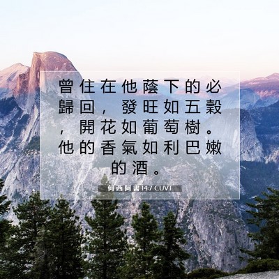 Picture 07 - 何 西 阿 書 14:7 CUVT - 曾 住 在 他 蔭 下 的 必 歸 回 ， 發 - Bible Verse Picture