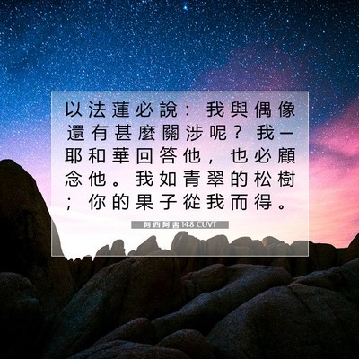 Picture 07 - 何 西 阿 書 14:8 CUVT - 以 法 蓮 必 說 ： 我 與 偶 像 還 有 - Bible Verse Picture