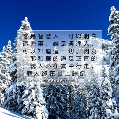 Picture 07 - 何 西 阿 書 14:9 CUVT - 誰 是 智 慧 人 ， 可 以 明 白 這 些 - Bible Verse Picture