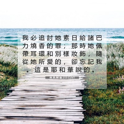 Picture 07 - 何 西 阿 書 2:13 CUVT - 我 必 追 討 她 素 日 給 諸 巴 力 燒 - Bible Verse Picture