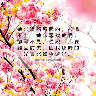 Picture 07 - 何 西 阿 書 2:7 CUVT - 她 必 追 隨 所 愛 的 ， 卻 追 不 上 - Bible Verse Picture
