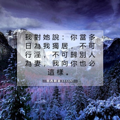 Picture 07 - 何 西 阿 書 3:3 CUVT - 我 對 她 說 ： 你 當 多 日 為 我 獨 - Bible Verse Picture