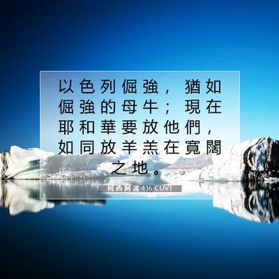 Picture 07 - 何 西 阿 書 4:16 CUVT - 以 色 列 倔 強 ， 猶 如 倔 強 的 母 - Bible Verse Picture