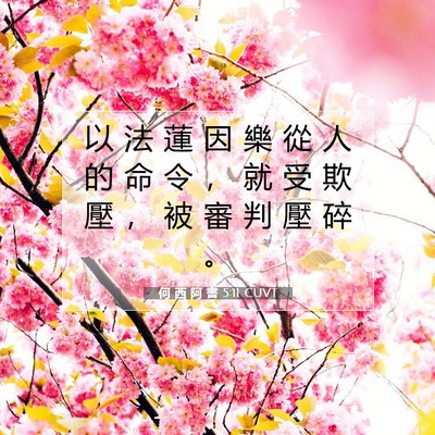 Picture 07 - 何 西 阿 書 5:11 CUVT - 以 法 蓮 因 樂 從 人 的 命 令 ， 就 - Bible Verse Picture