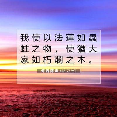 Picture 07 - 何 西 阿 書 5:12 CUVT - 我 使 以 法 蓮 如 蟲 蛀 之 物 ， 使 - Bible Verse Picture