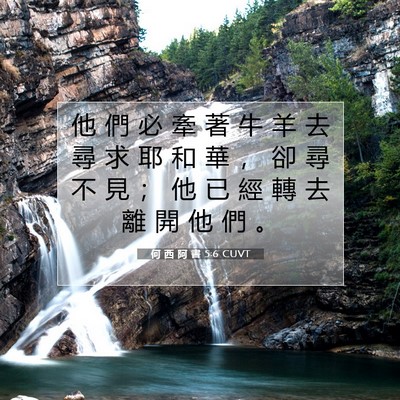 Picture 07 - 何 西 阿 書 5:6 CUVT - 他 們 必 牽 著 牛 羊 去 尋 求 耶 和 - Bible Verse Picture