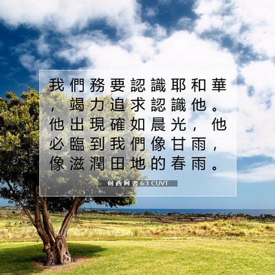 Picture 07 - 何 西 阿 書 6:3 CUVT - 我 們 務 要 認 識 耶 和 華 ， 竭 力 - Bible Verse Picture