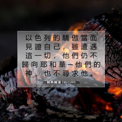 Picture 07 - 何 西 阿 書 7:10 CUVT - 以 色 列 的 驕 傲 當 面 見 證 自 己 - Bible Verse Picture