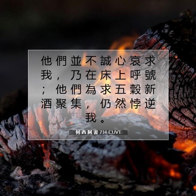 Picture 07 - 何 西 阿 書 7:14 CUVT - 他 們 並 不 誠 心 哀 求 我 ， 乃 在 - Bible Verse Picture