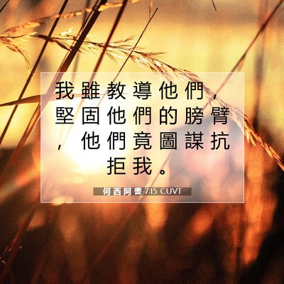 Picture 07 - 何 西 阿 書 7:15 CUVT - 我 雖 教 導 他 們 ， 堅 固 他 們 的 - Bible Verse Picture