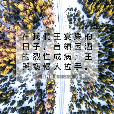 Picture 07 - 何 西 阿 書 7:5 CUVT - 在 我 們 王 宴 樂 的 日 子 ， 首 領 - Bible Verse Picture