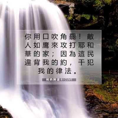 Picture 07 - 何 西 阿 書 8:1 CUVT - 你 用 口 吹 角 罷 ！ 敵 人 如 鷹 來 - Bible Verse Picture